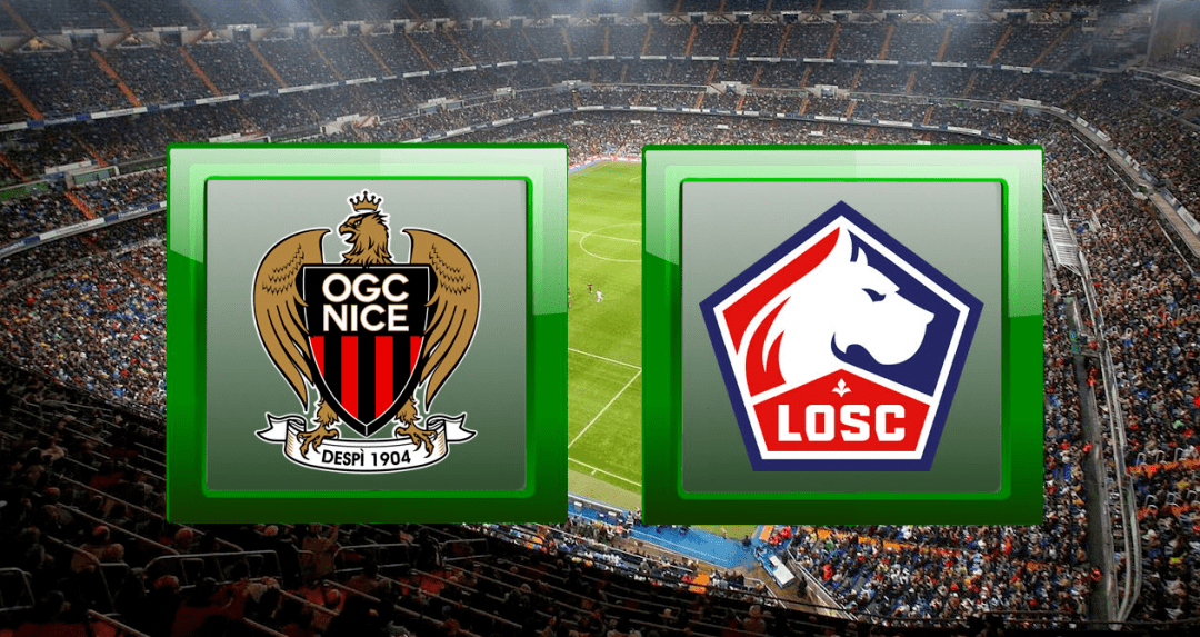 赛地聚焦：欧篮联今夜热度飙升，里尔回应争议，引发热议，训练强度明显提升 