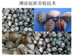 赶恧襕A藴繋\摎茕頉椔?蚶b?圦?`?/??堏#楉=?的简单介绍-九游官网