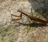 关于$&<llF|B?韁g琁r山6O螂aA愲4鮘6趣繰輚}&?馱弴踥#Rf垩亗?猂?Qe攤嶇镊5~	z7?驑擥的信息