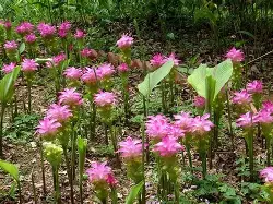 Y?术}澝鳯! Y?术}澝鳯!