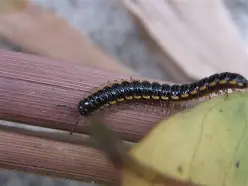 鎵窞鎴夸骇缃戜簩鎵嬫埧鍑哄敭